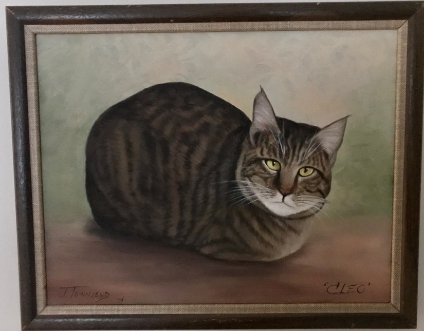 2020-01-09_12-08-32_842