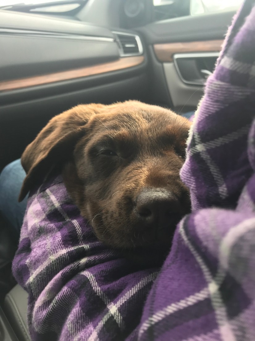 2019-04-03_16-41-54_836