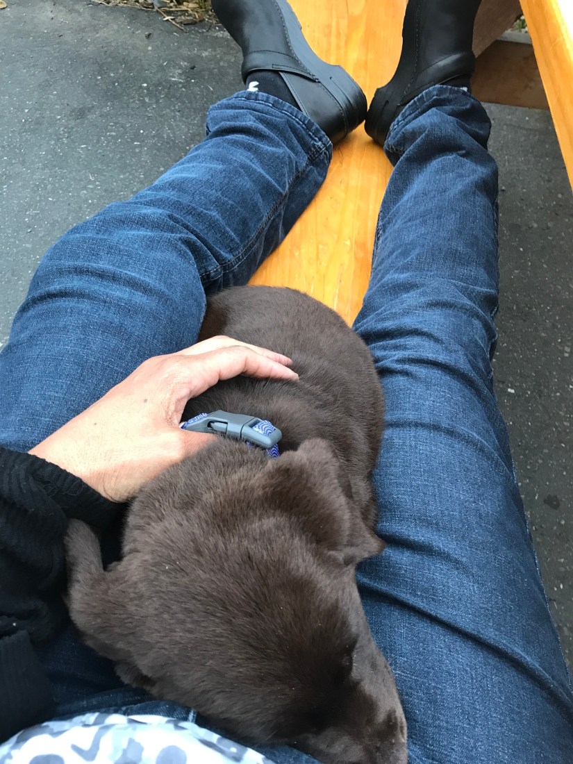 2019-04-03_18-39-11_085