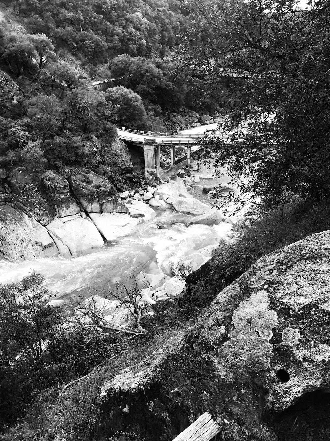 2019-04-04_14-53-43_428