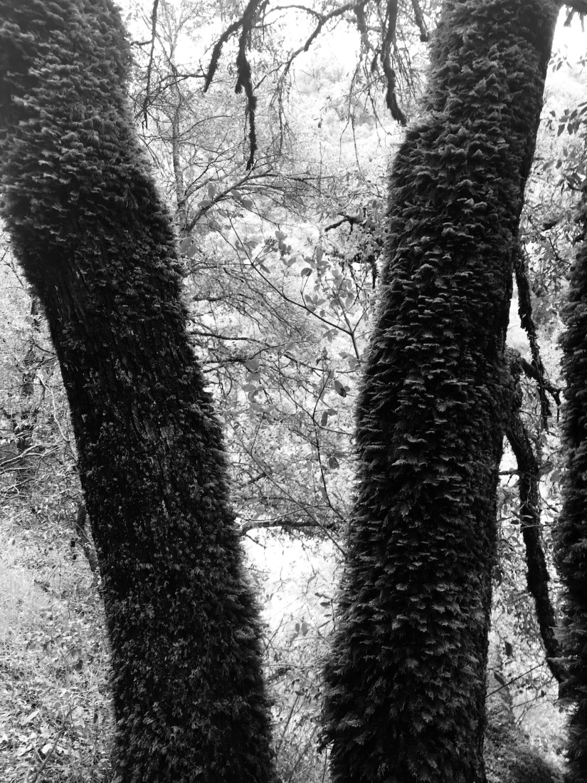 2019-04-04_15-03-11_123