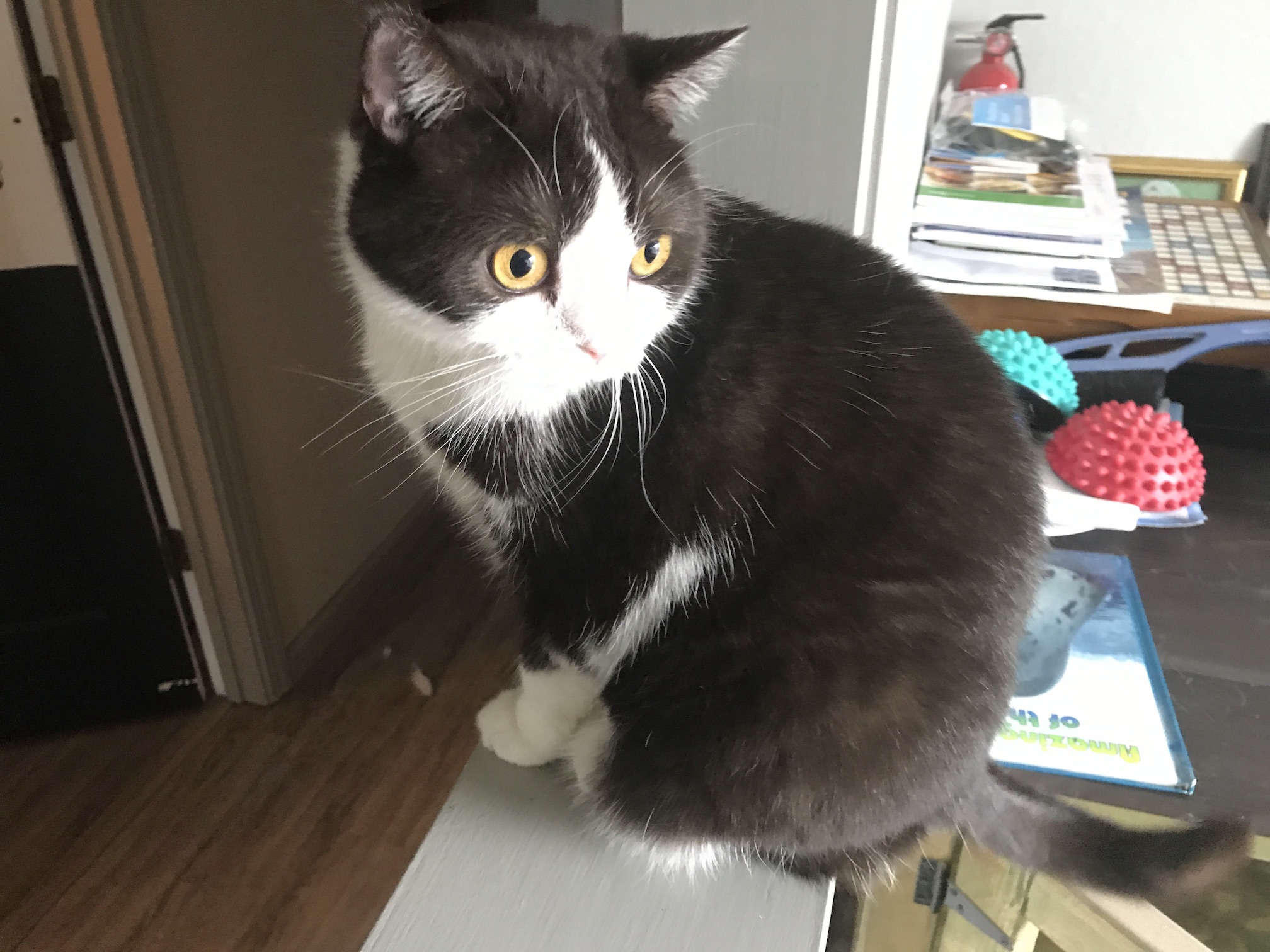 2019-04-05_09-49-03_518