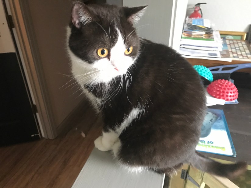 2019-04-05_09-49-03_518