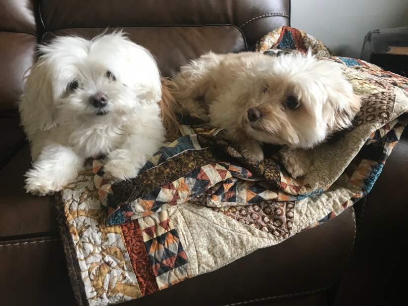 2019-04-05_09-52-06_342