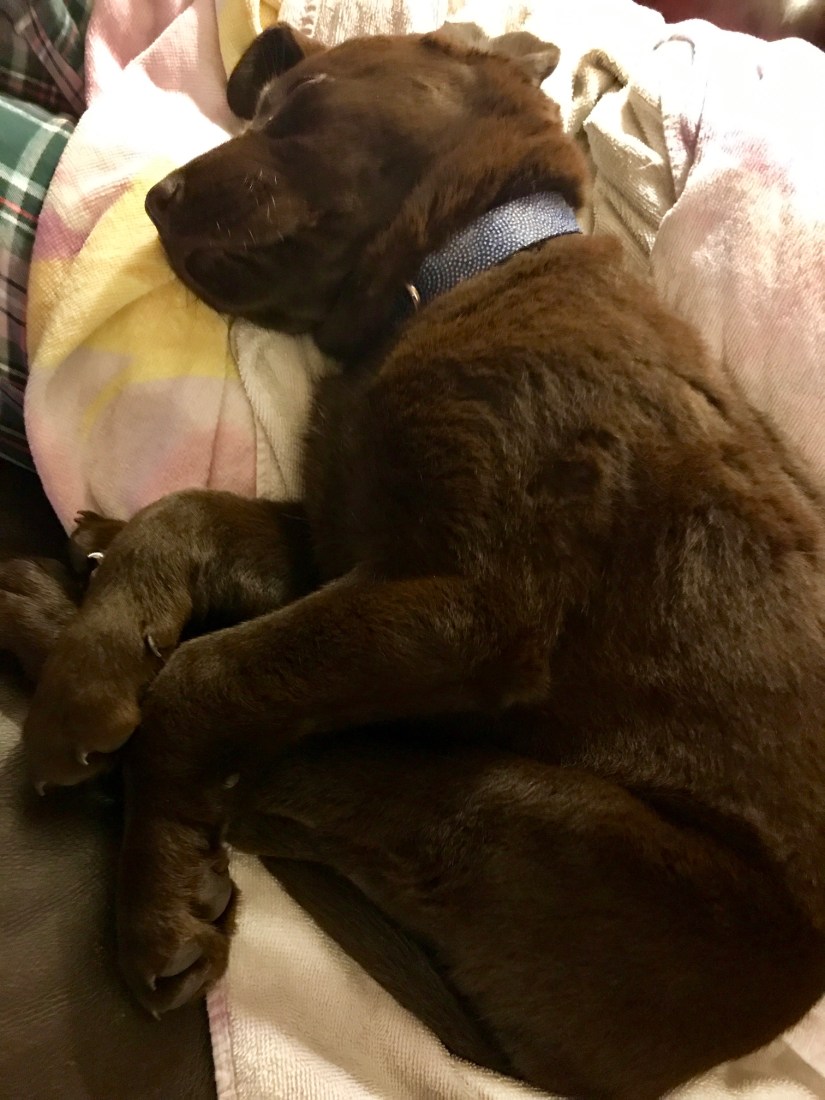 2019-04-05_21-58-52_087