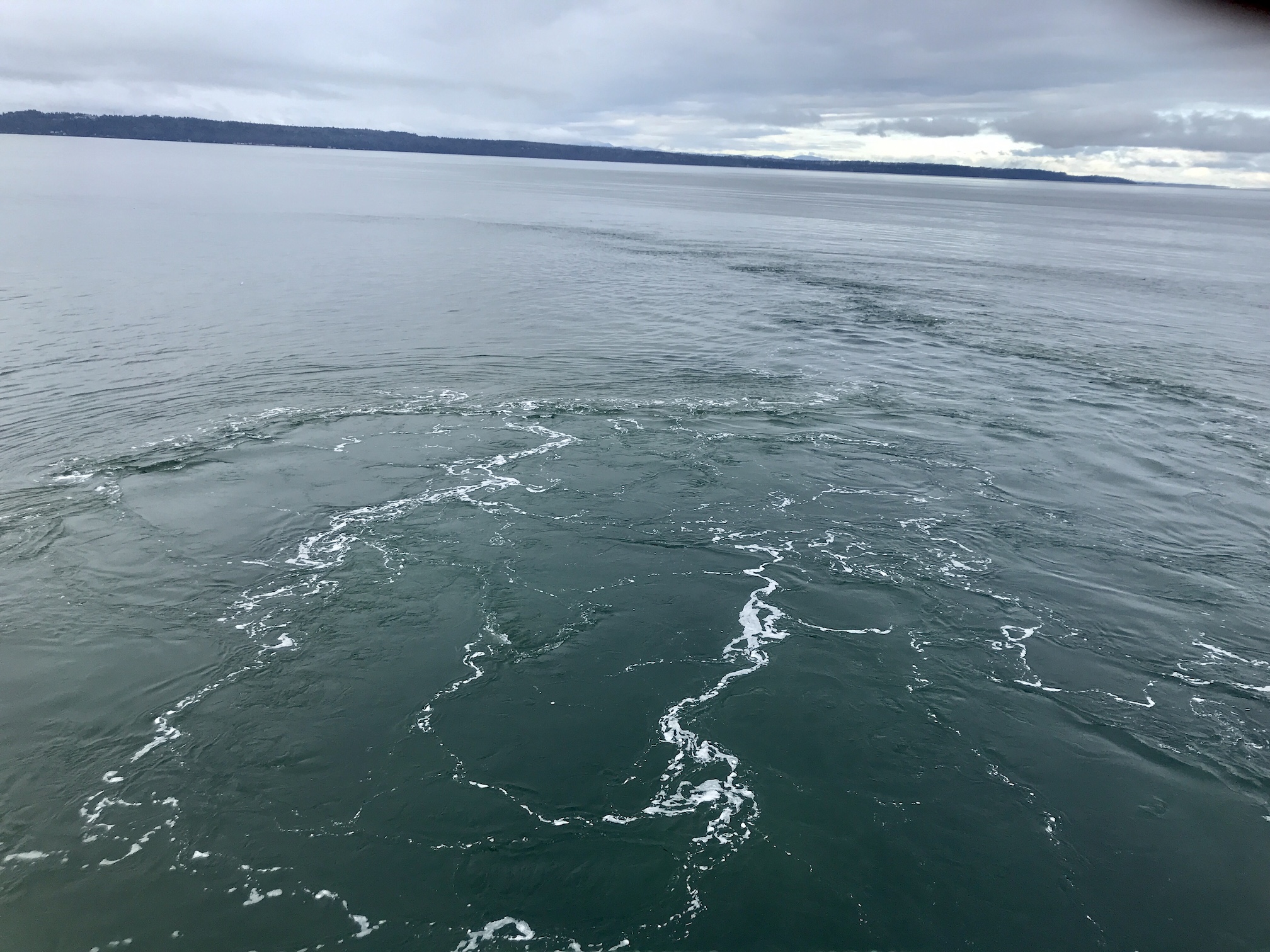 2020-01-09_10-21-51_331