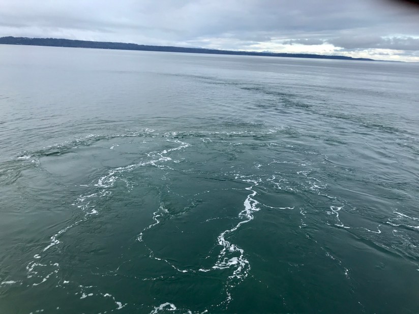 2020-01-09_10-21-51_331