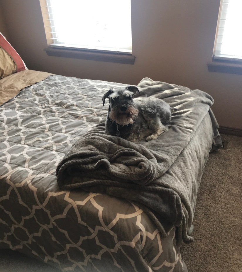 2020-02-04_09-08-17_168