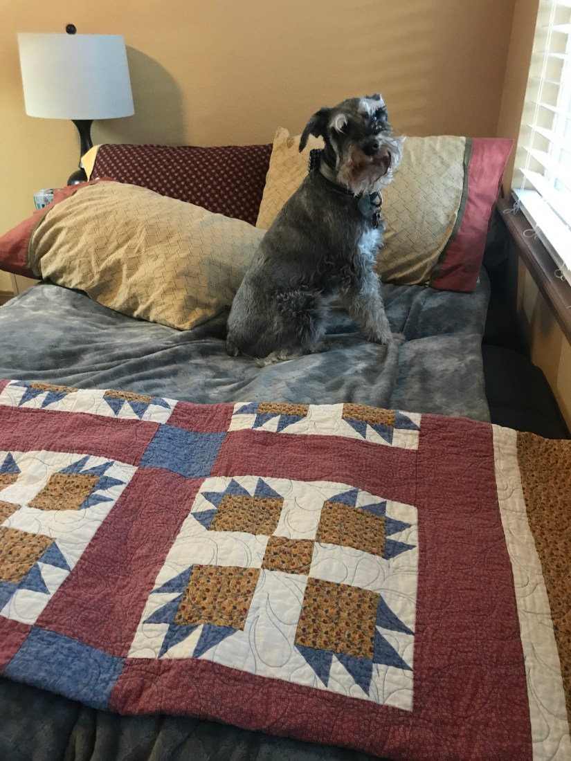 2020-02-06_16-53-03_750