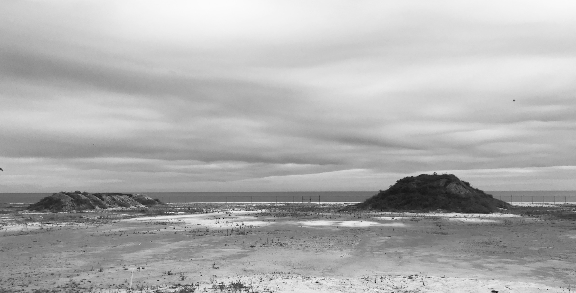 2020-02-16_12-24-41_892