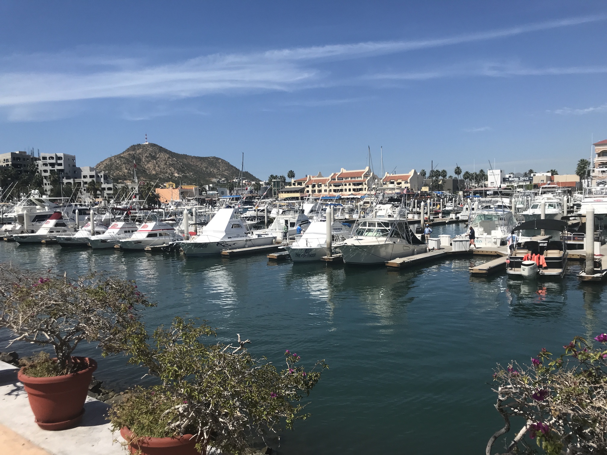 2020-02-17_12-18-51_319