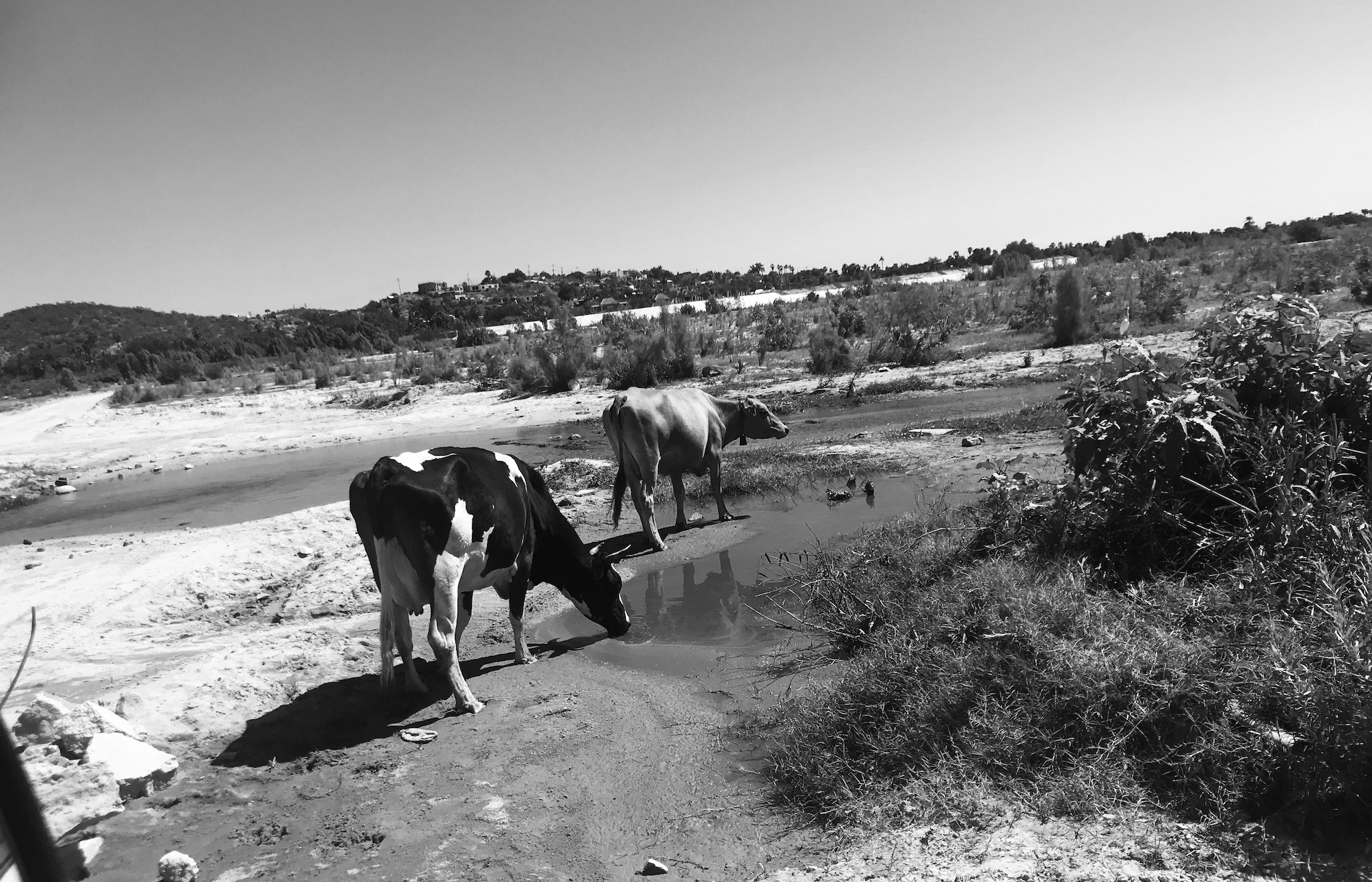 2020-02-18_12-23-18_173