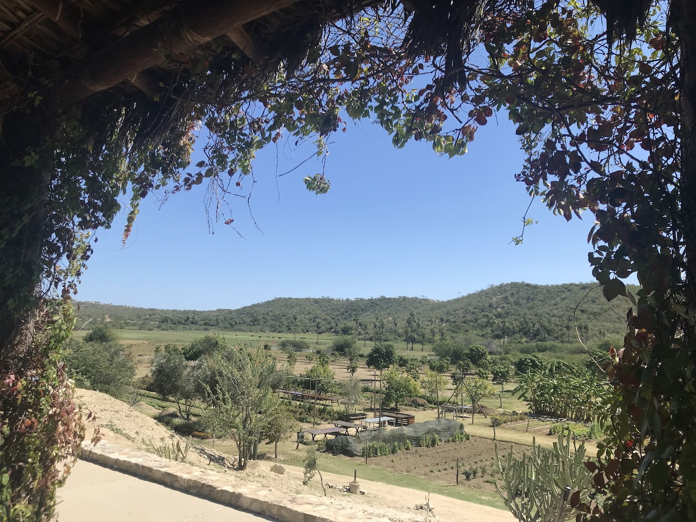 2020-02-18_12-49-38_054