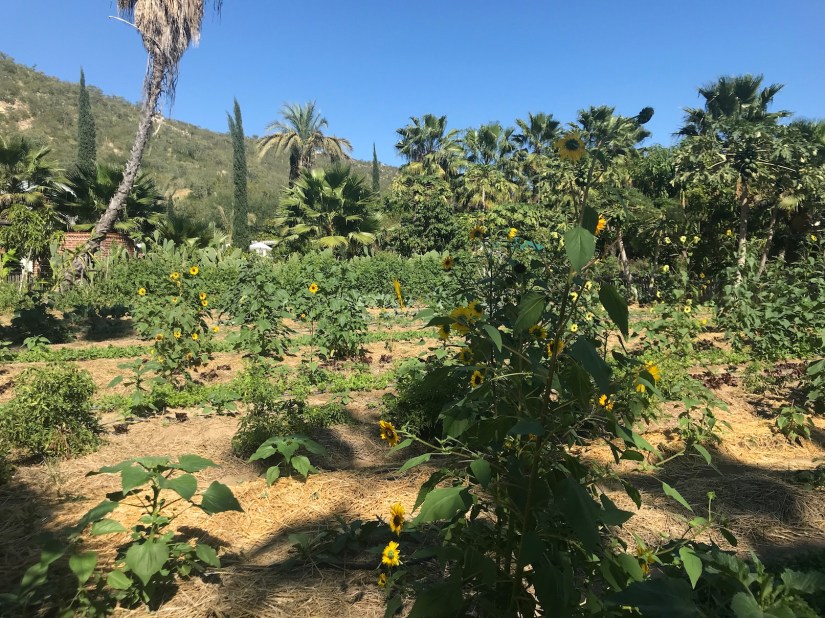 2020-02-18_14-21-53_518