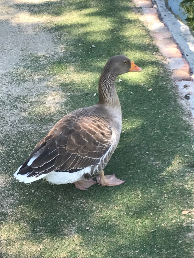 2020-02-18_14-30-10_146