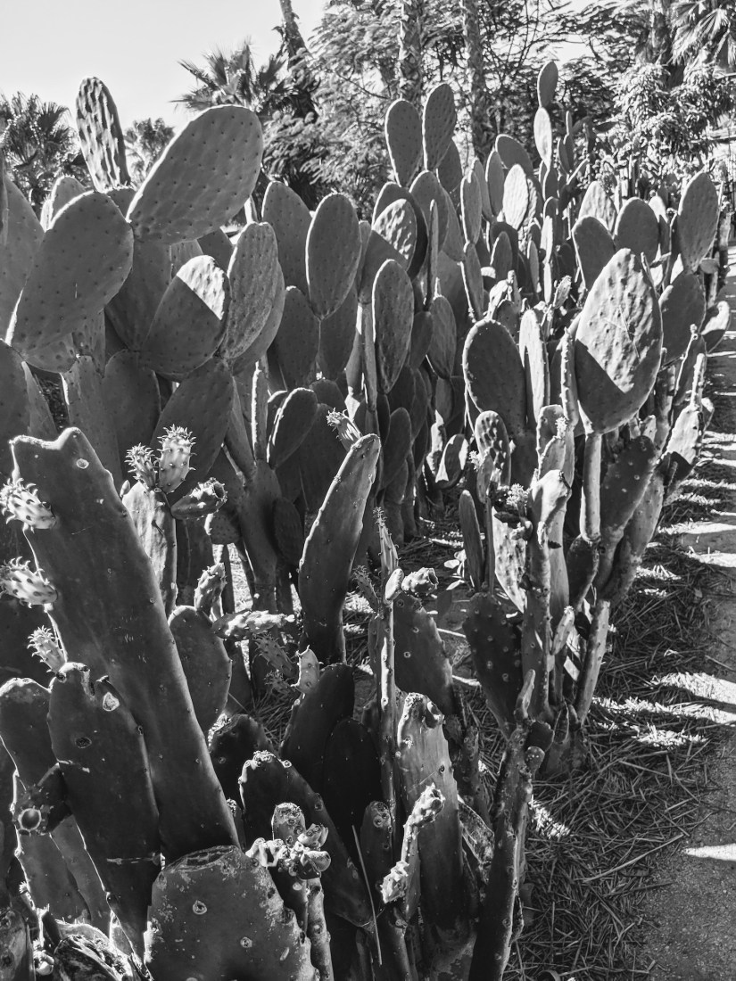 IMG_20200218_142440~2