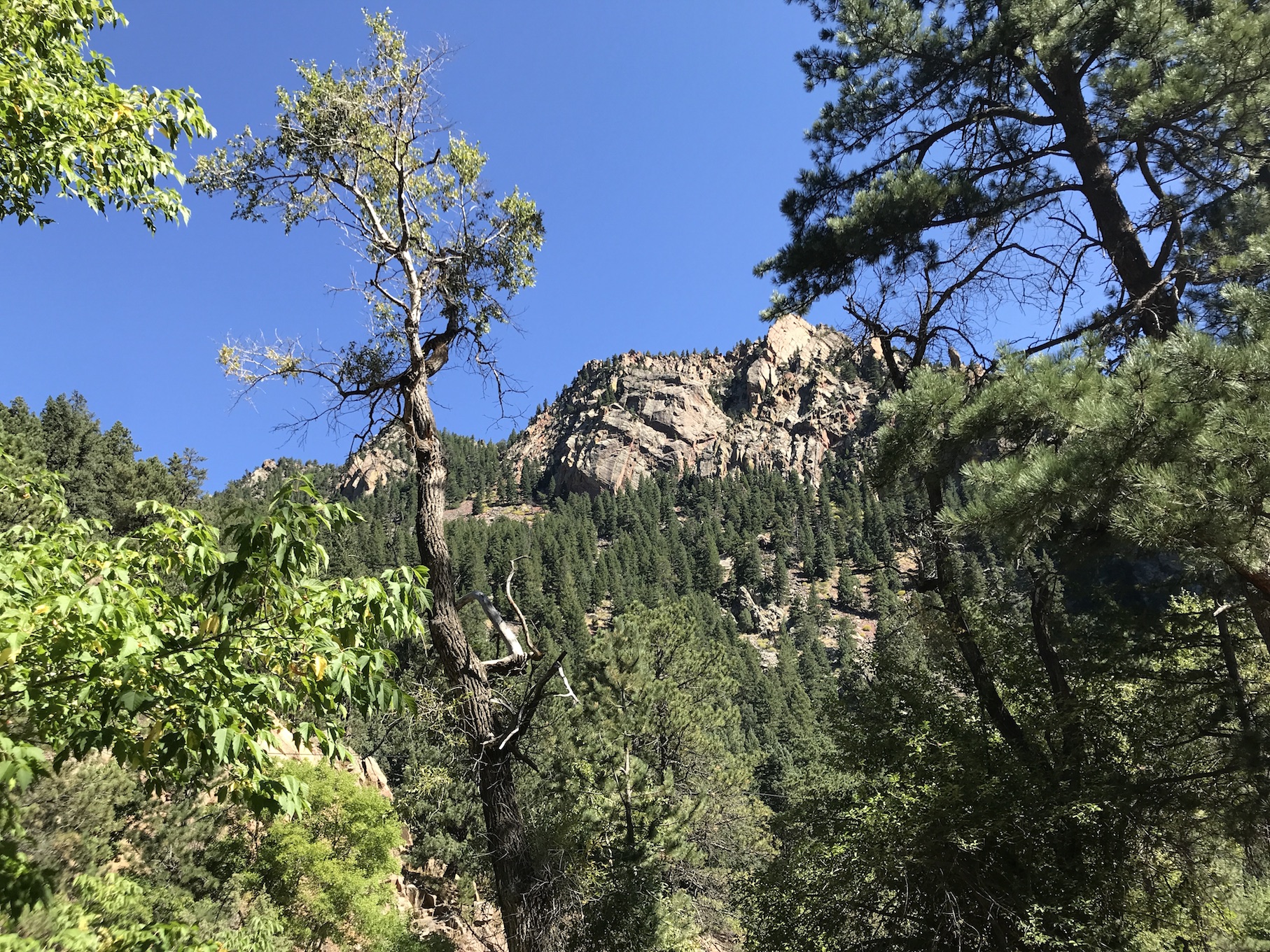 2019-09-14_11-15-25_296