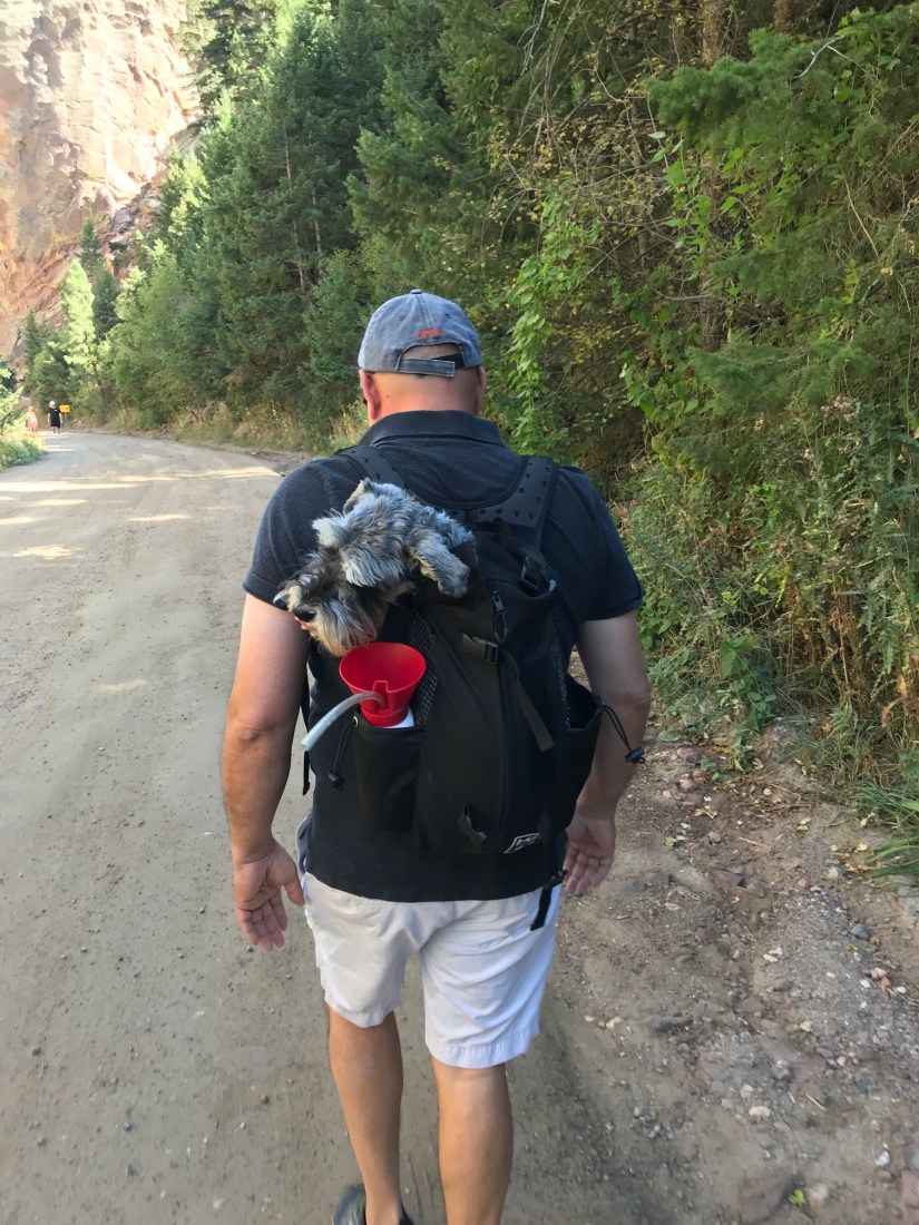 2019-09-14_12-21-46_198