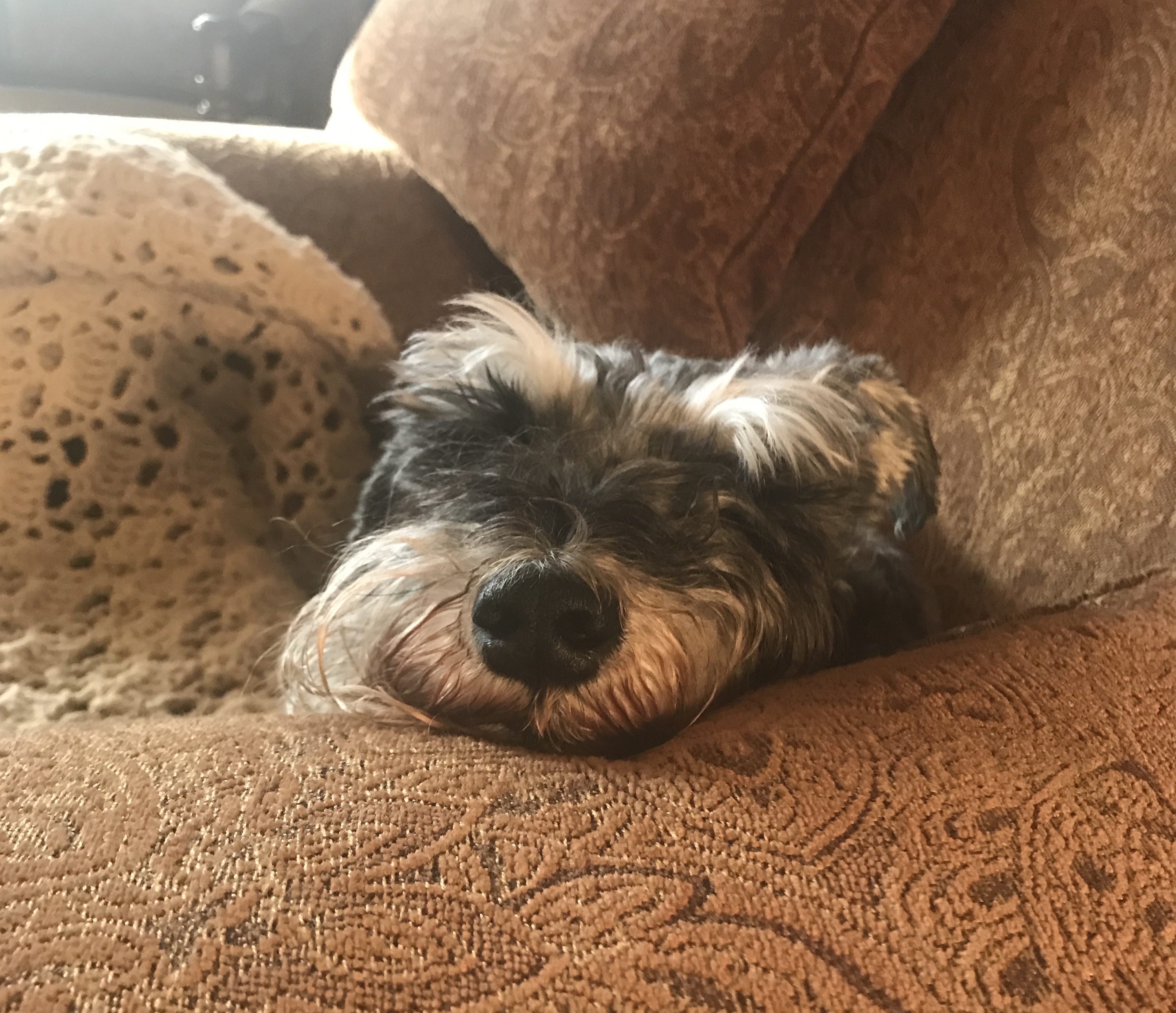 2019-11-23_08-20-24_666