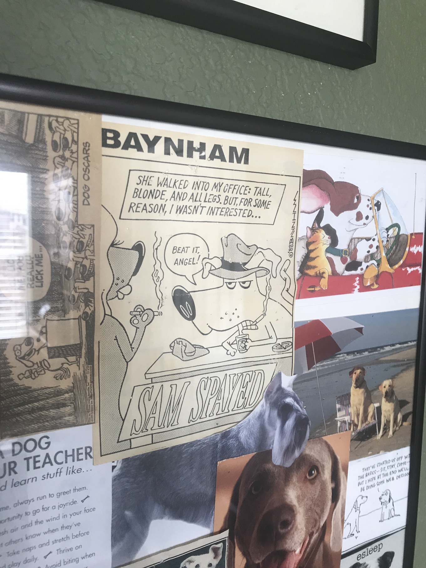 2020-03-30_11-43-50_291