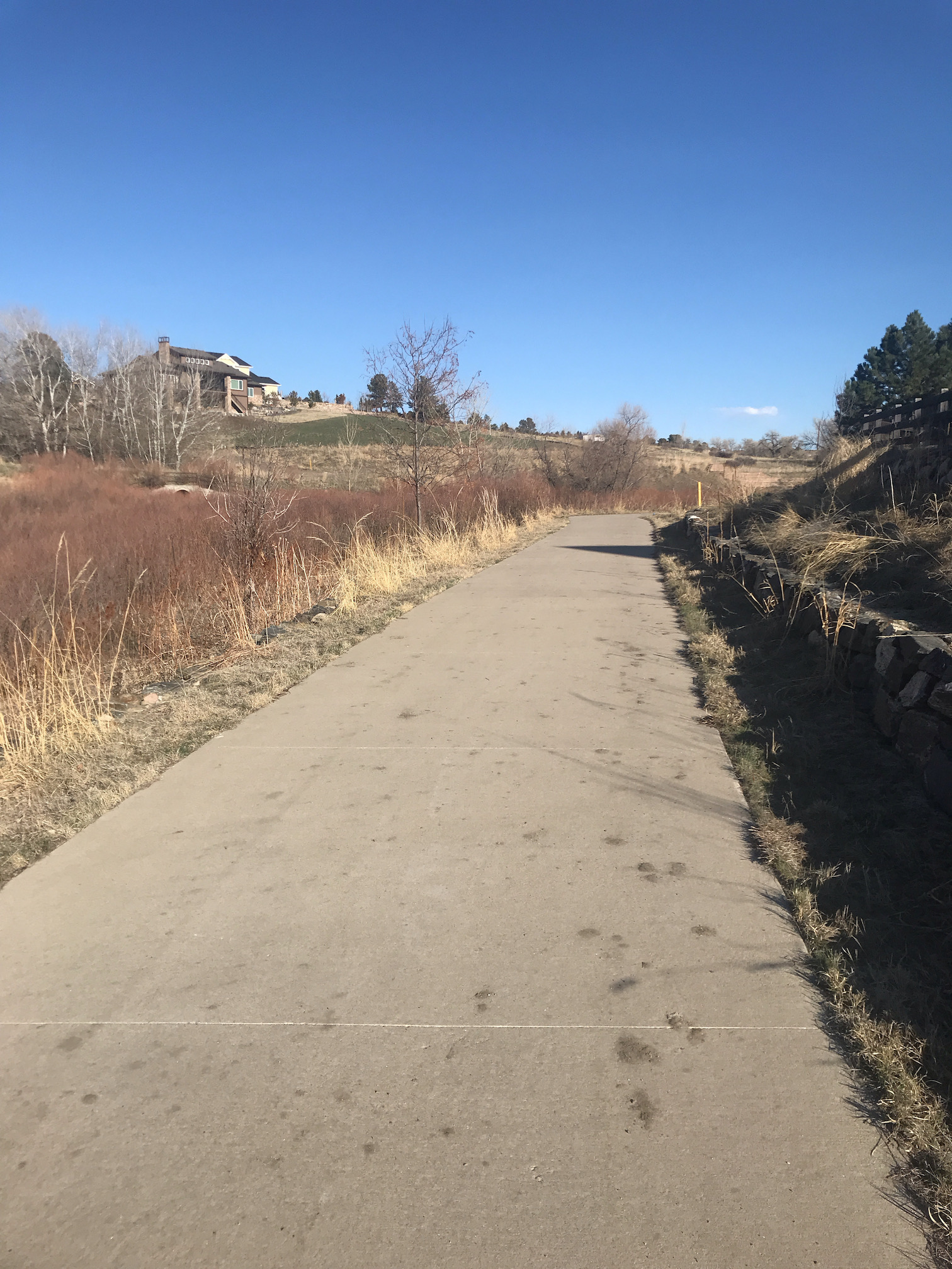 2020-04-06_17-31-02_755