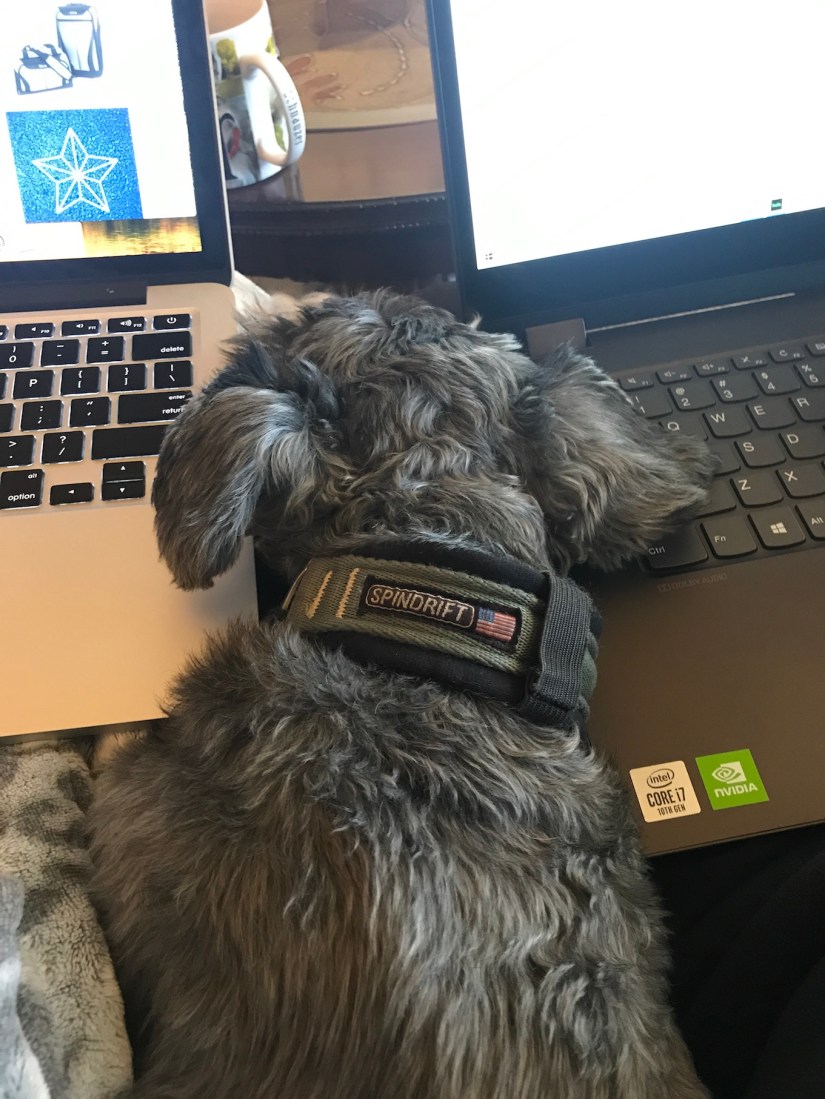 2020-04-10_09-12-03_886