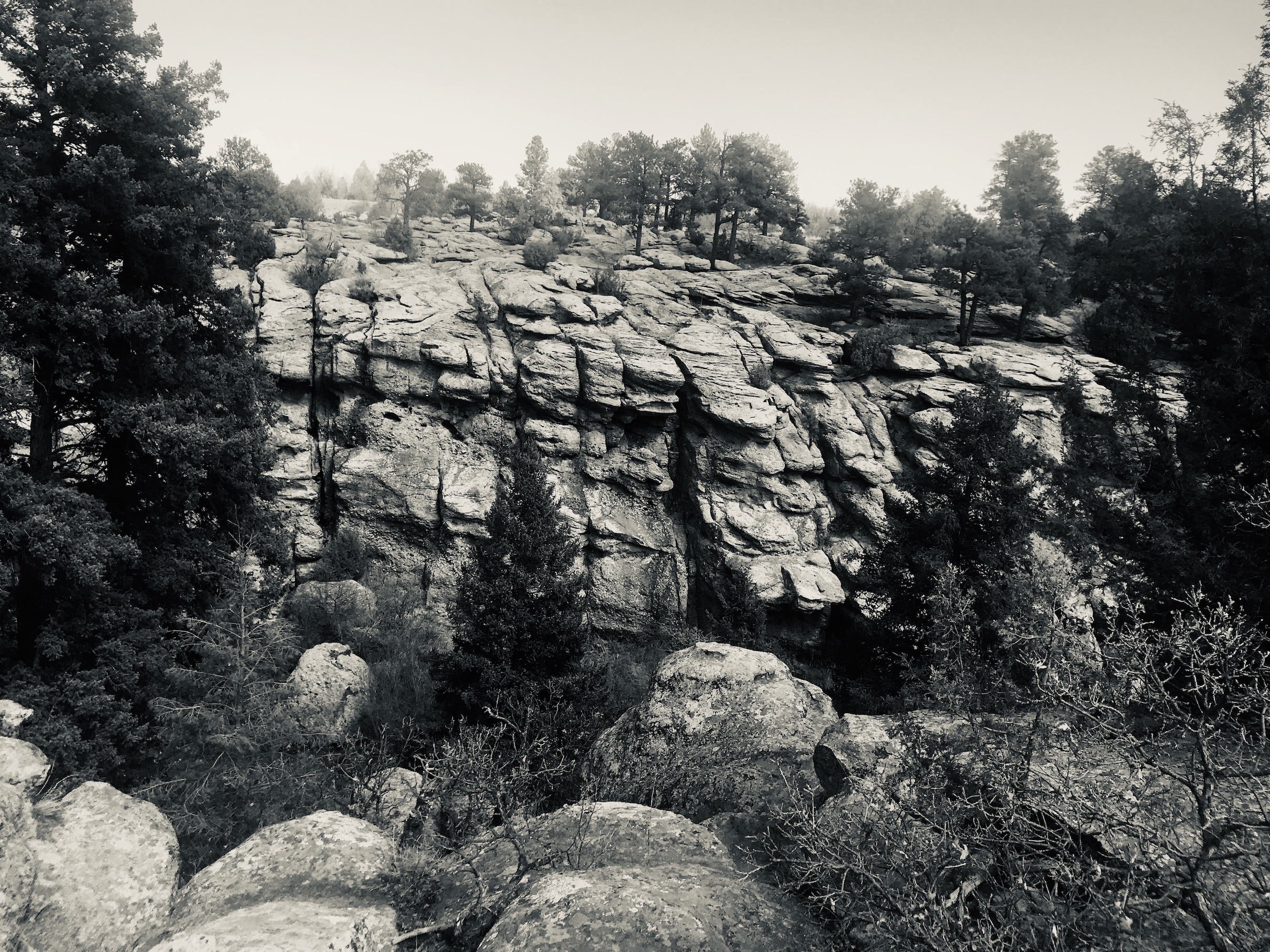 2020-04-10_11-42-11_276 (1)