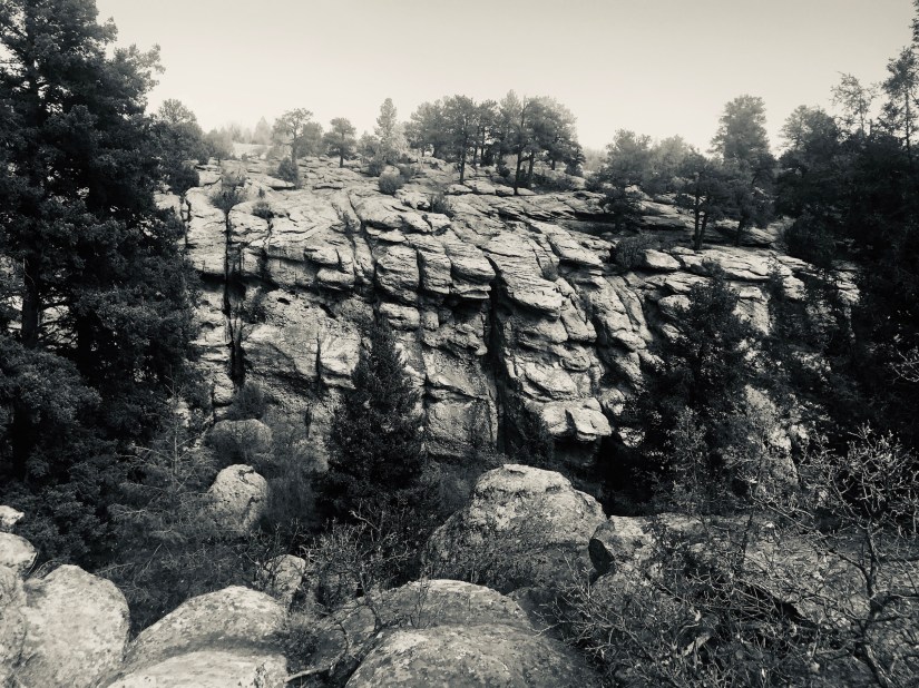 2020-04-10_11-42-11_276 (1)