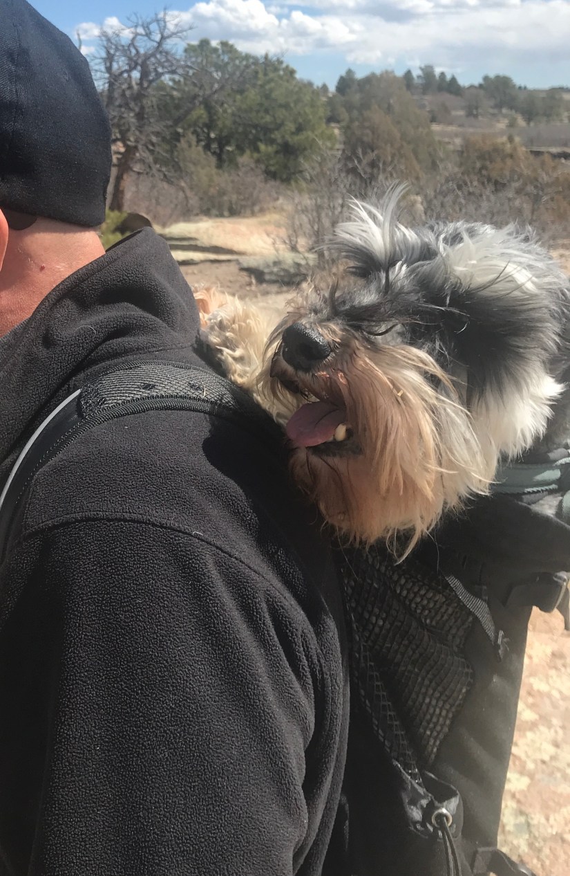 2020-04-10_12-03-07_294