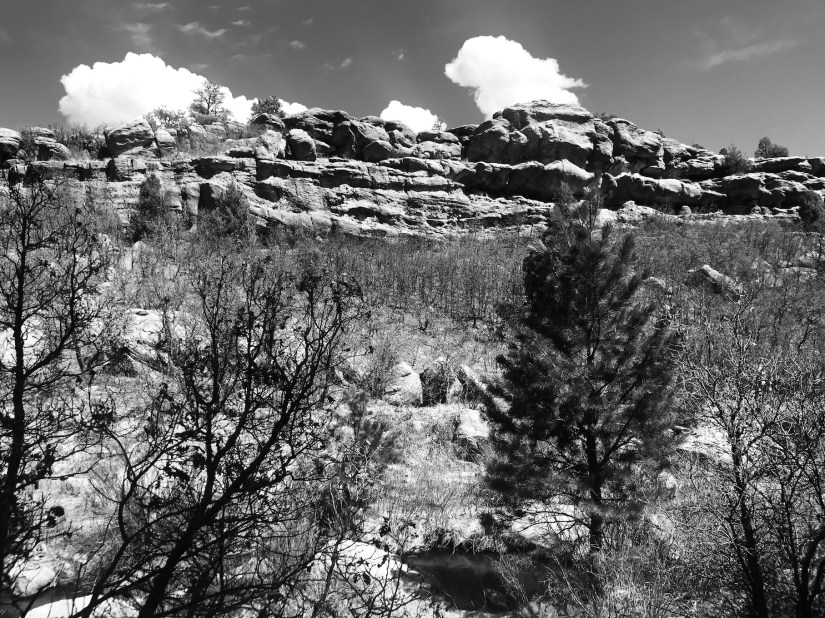 2020-04-10_12-10-09_331