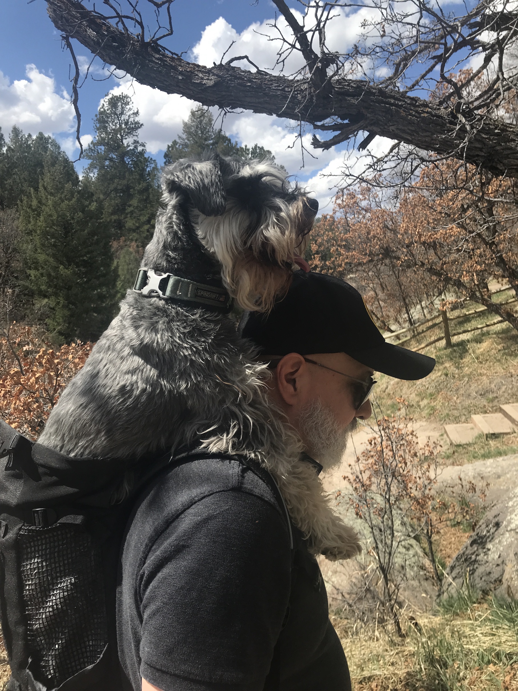 2020-04-10_12-30-58_602