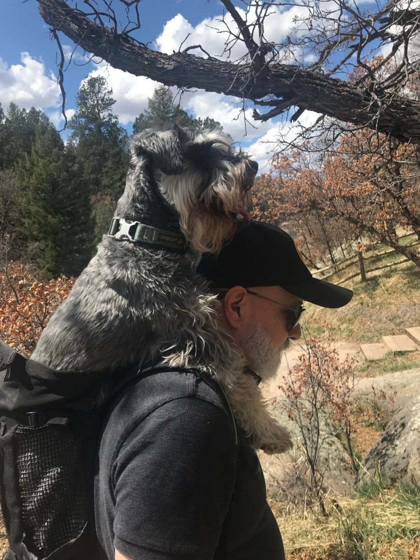 2020-04-10_12-30-58_602