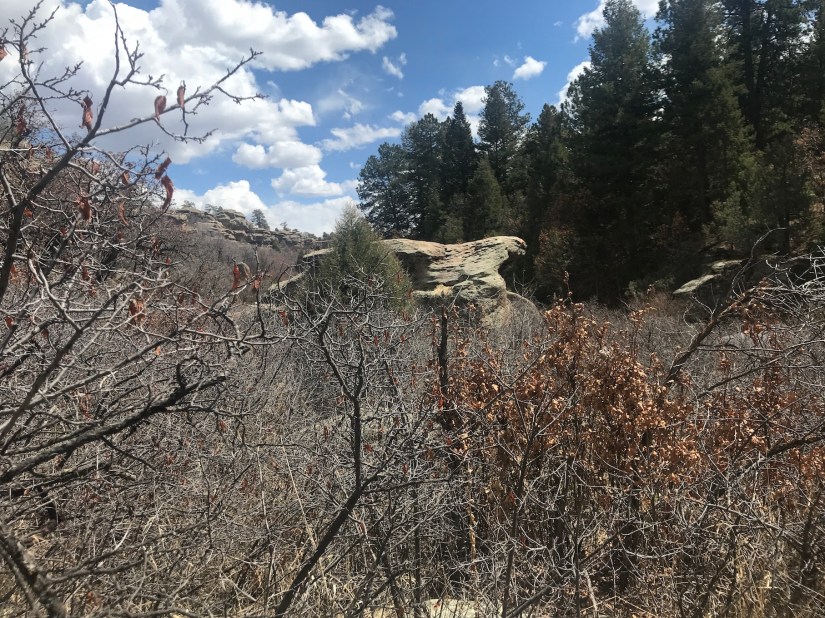 2020-04-10_12-39-39_974