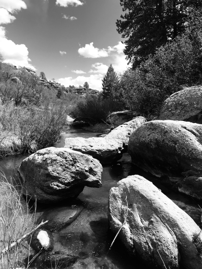 2020-04-10_13-03-37_898