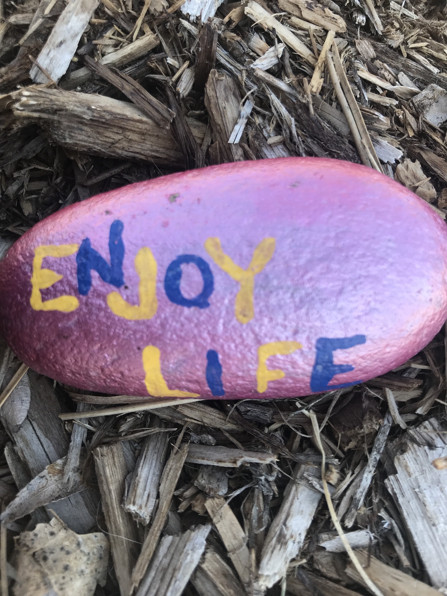 2020-04-27_10-54-47_711