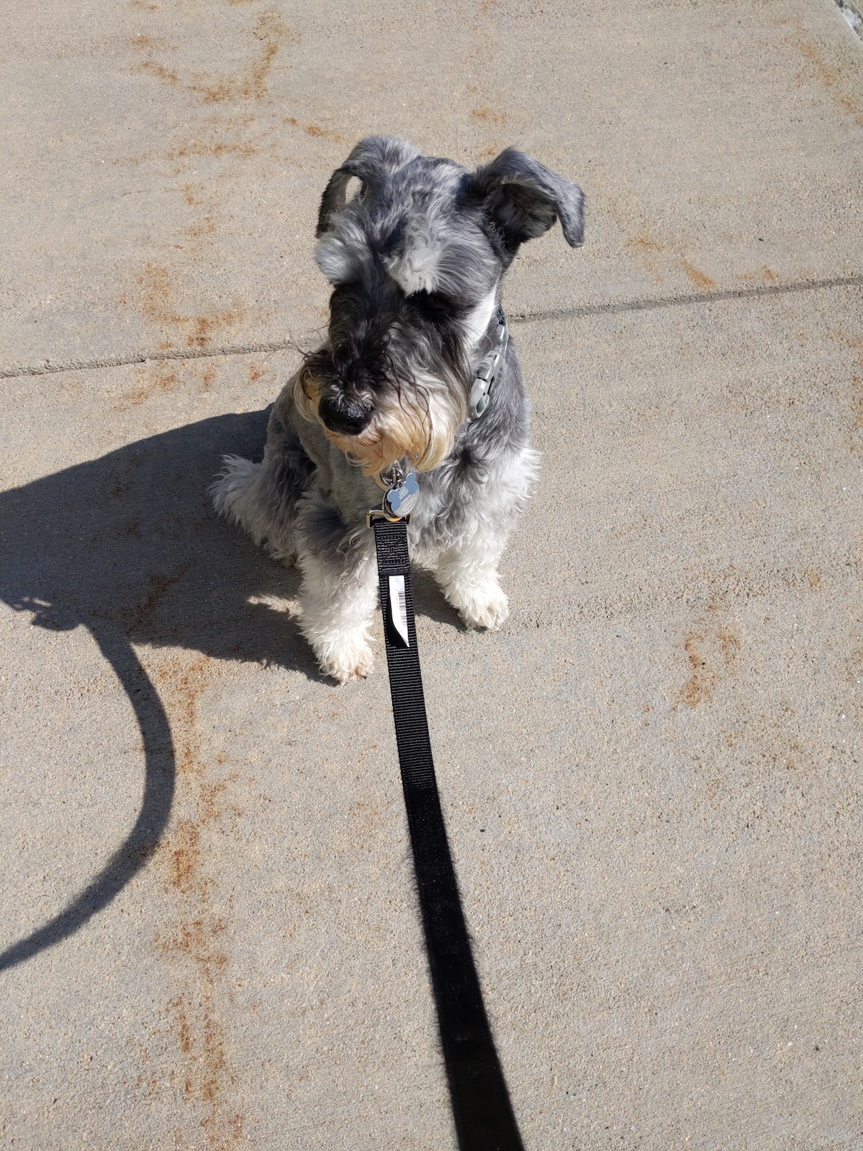 IMG_20190816_094535_01