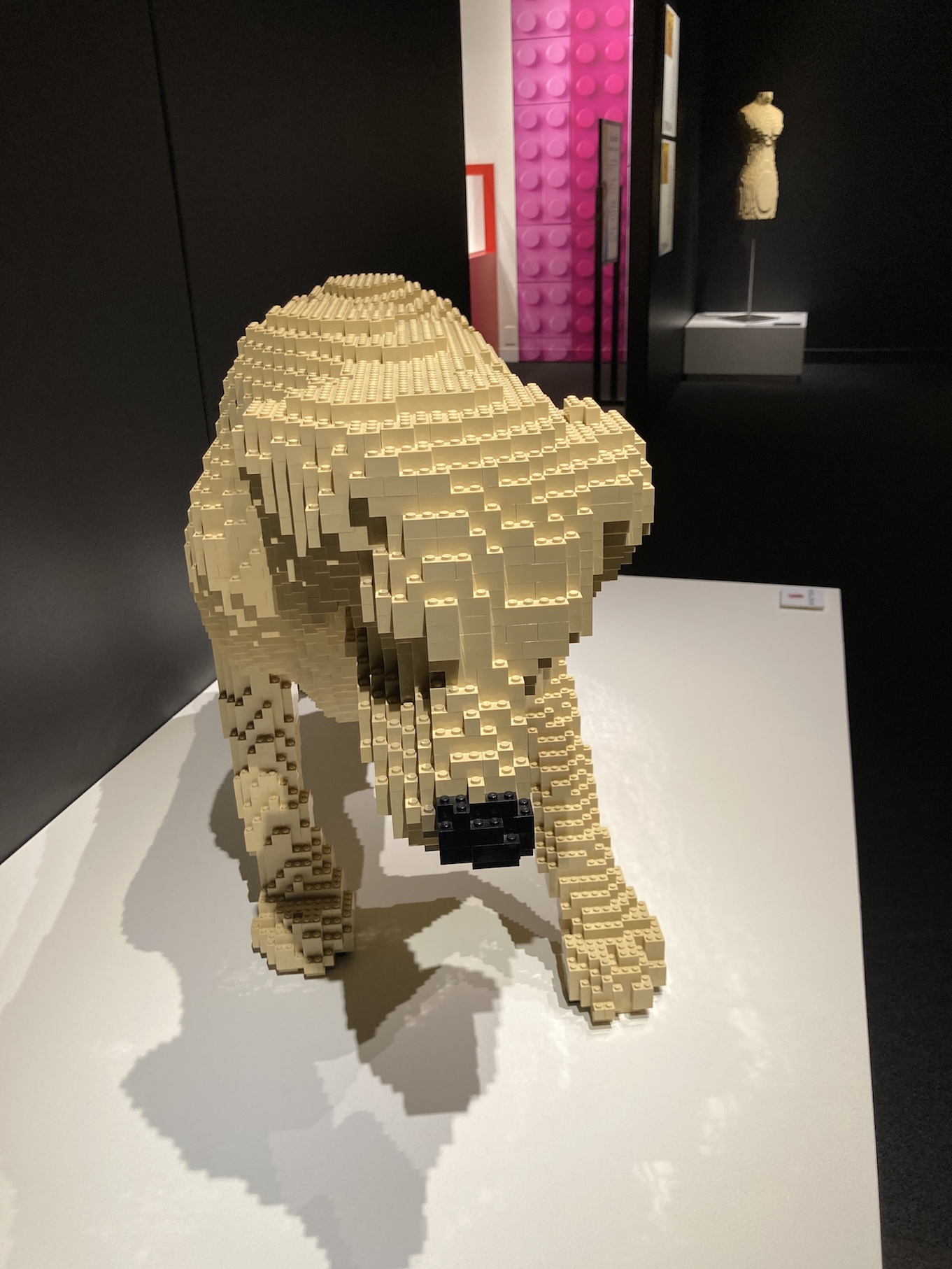 2020-06-28_09-22-23_201