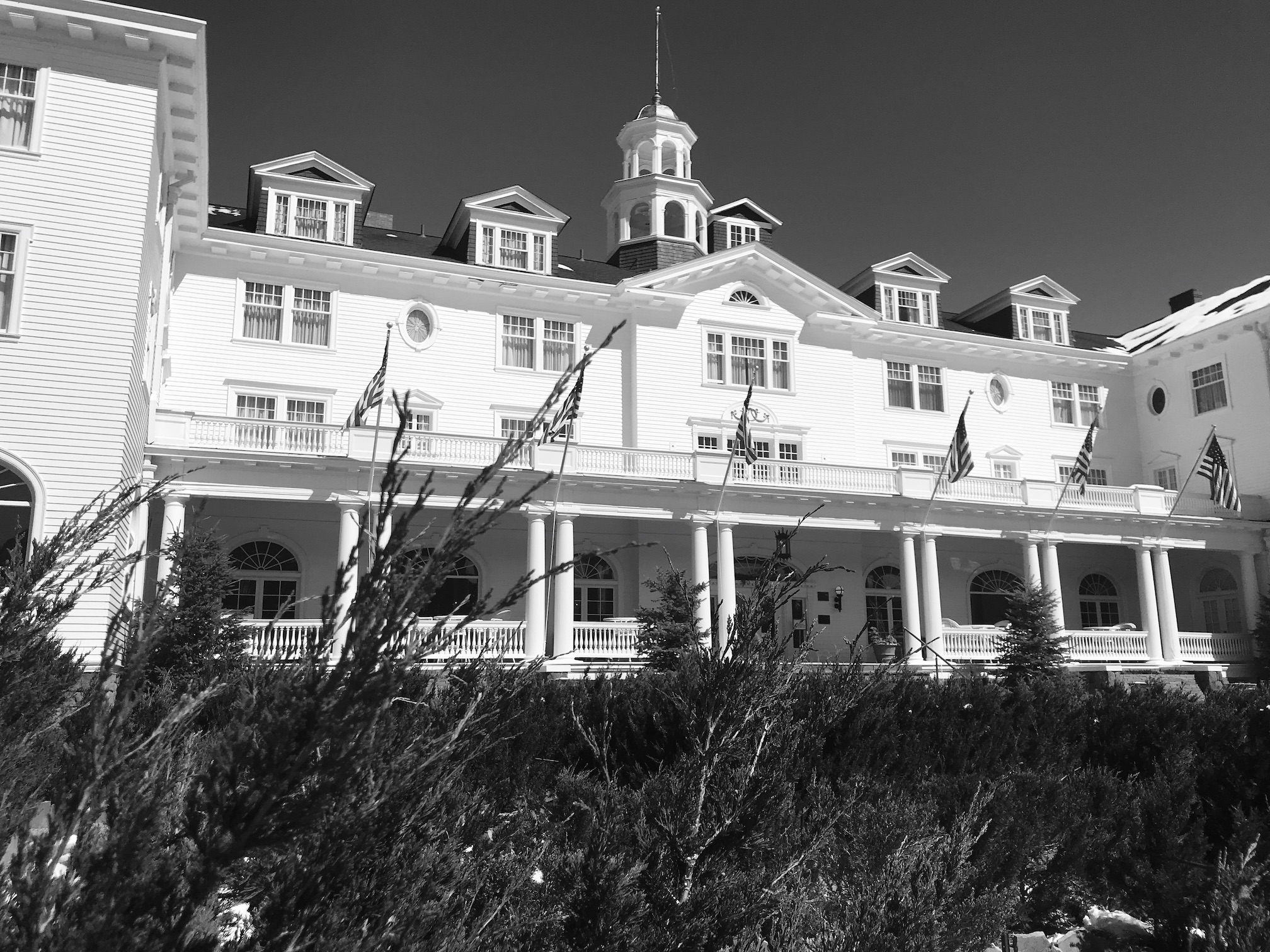 2020-03-22_11-56-31_869