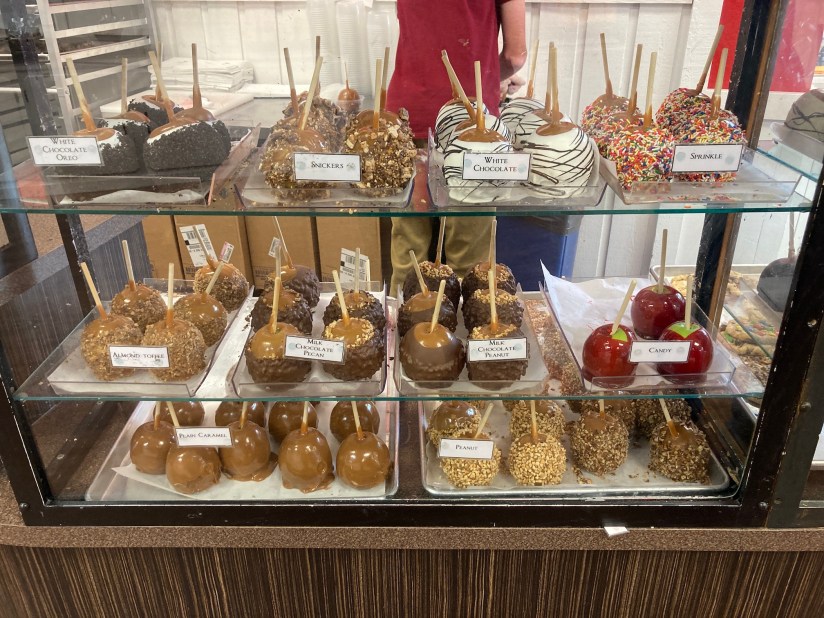 2020-07-02_11-30-25_193