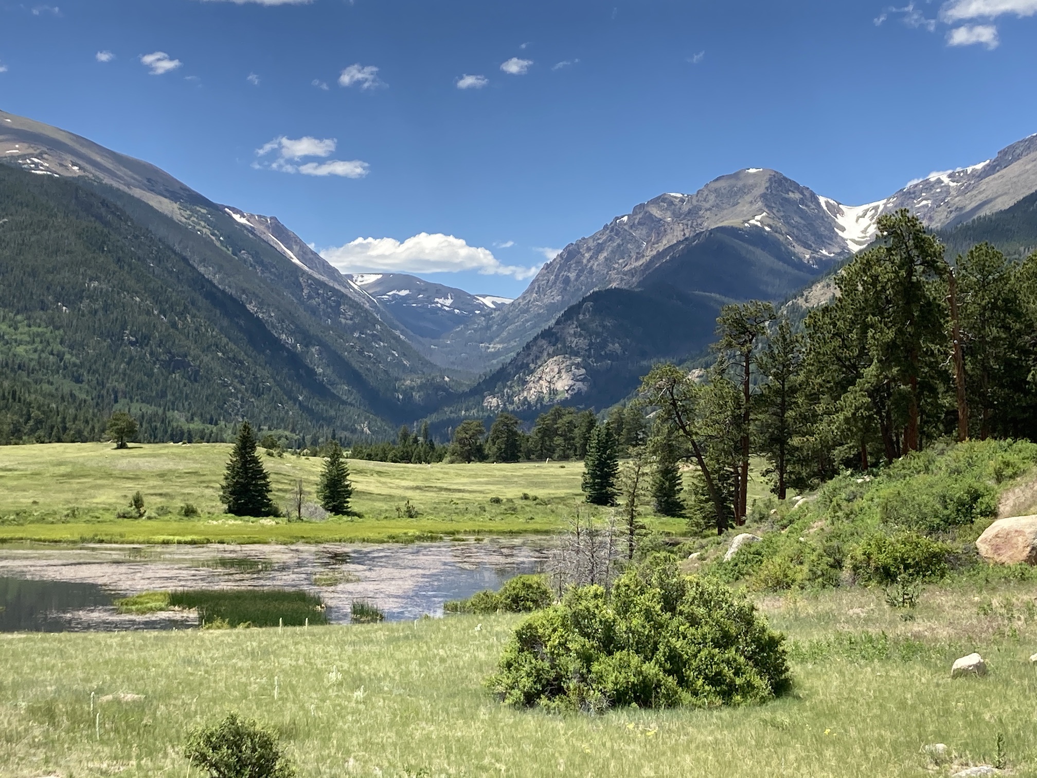 2020-07-02_14-05-31_923