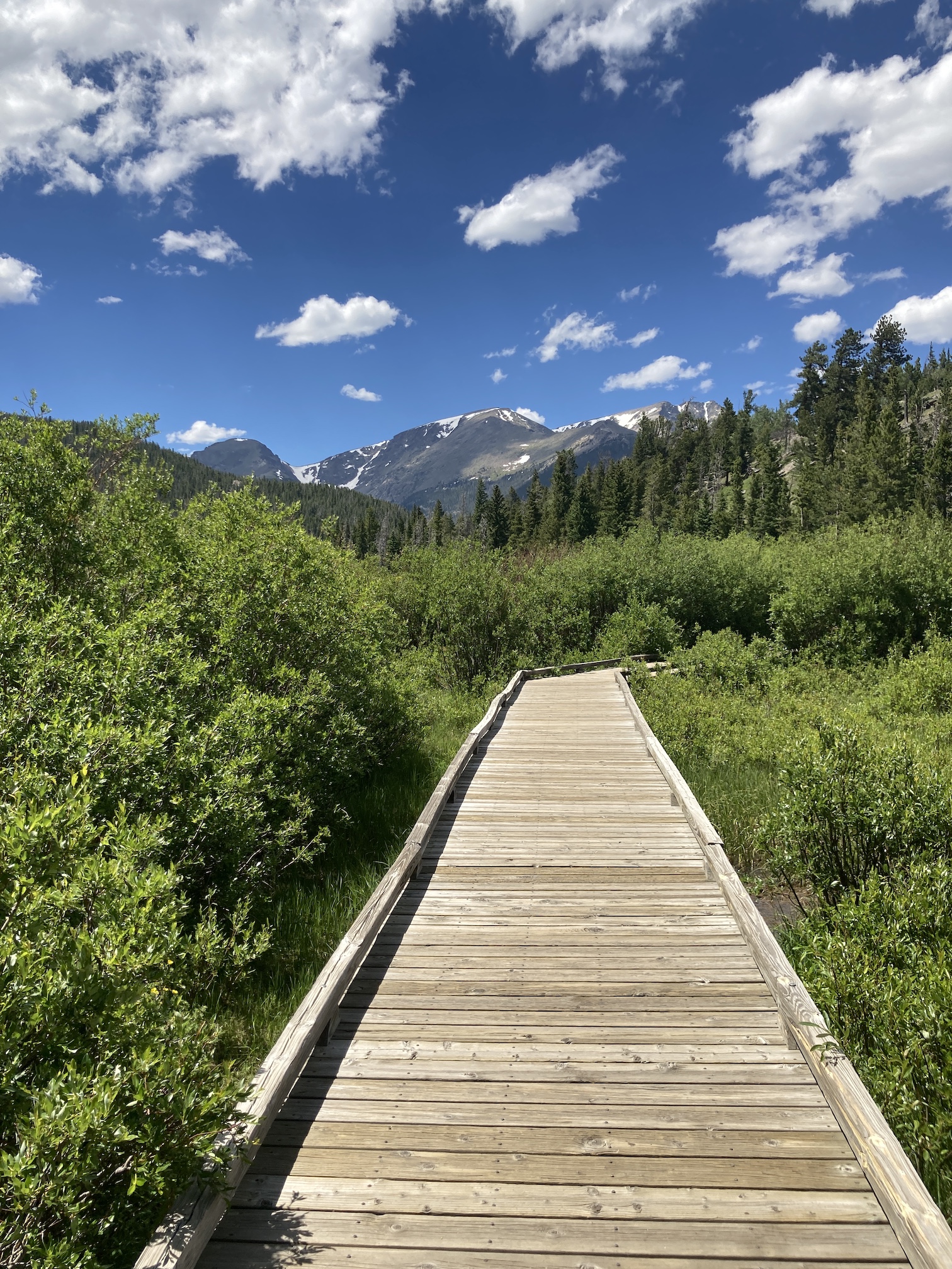 2020-07-02_14-26-51_455