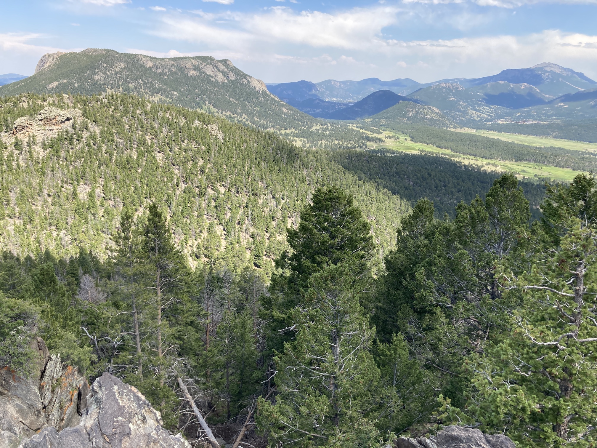 2020-07-02_14-52-06_111