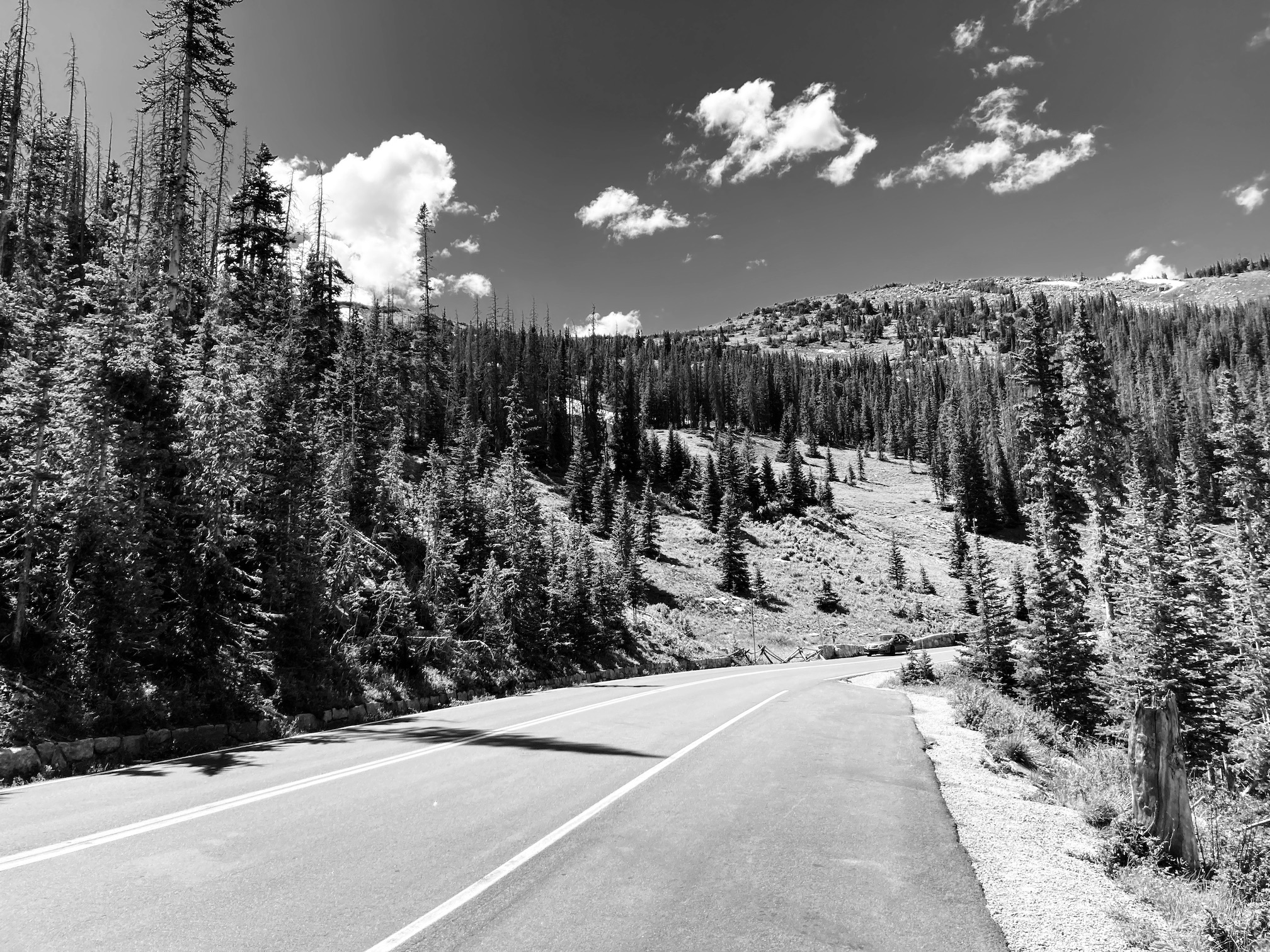 2020-07-02_15-03-50_248