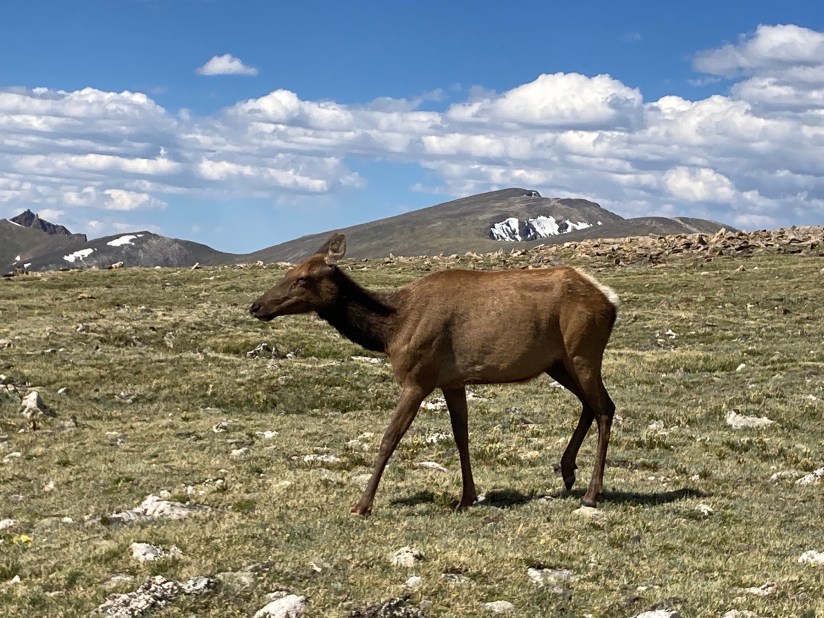 2020-07-02_16-39-51_262