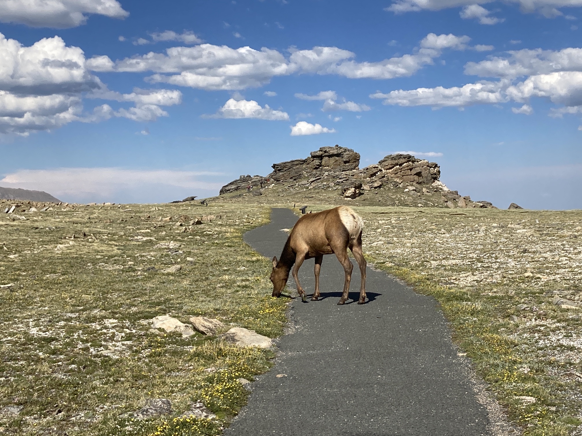 2020-07-02_16-50-56_829