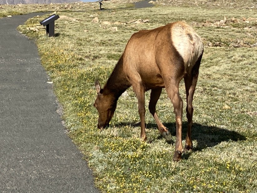 2020-07-02_16-53-44_842