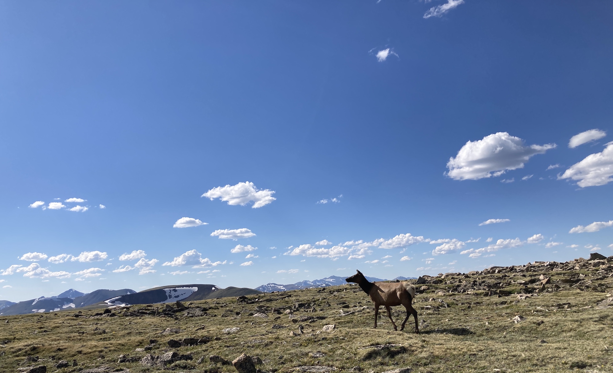 2020-07-02_17-02-53_866