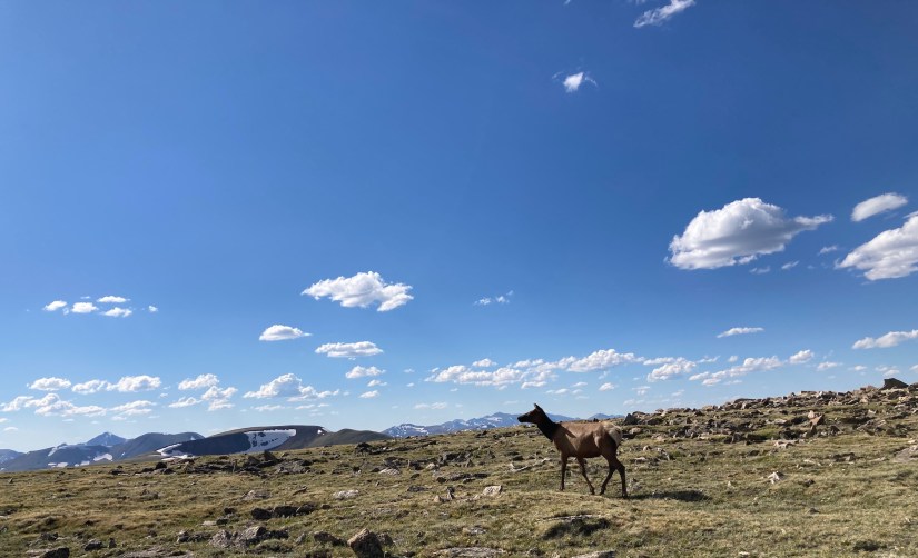 2020-07-02_17-02-53_866