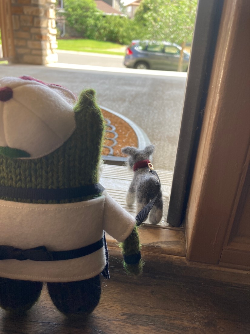 2020-07-23_14-39-31_193