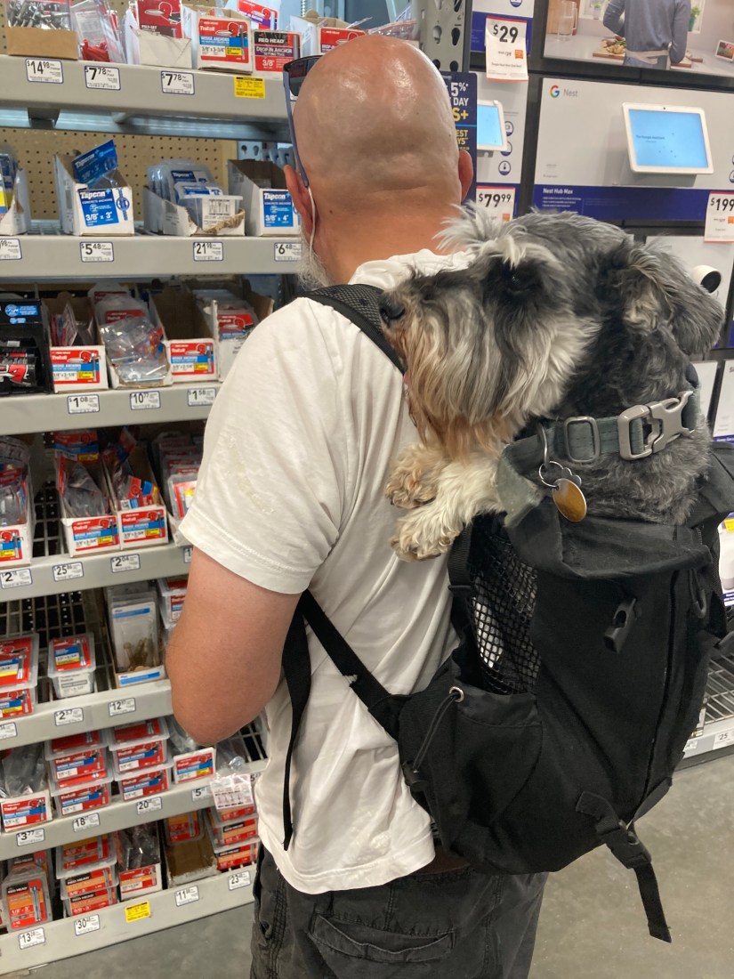 2020-06-15_11-07-03_552